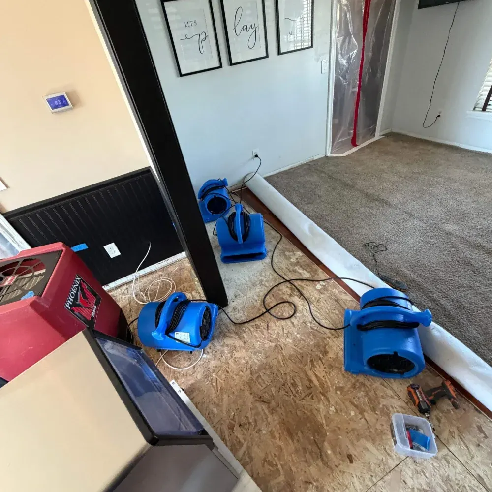 IICRC certified drying setup in Jackson County, IN