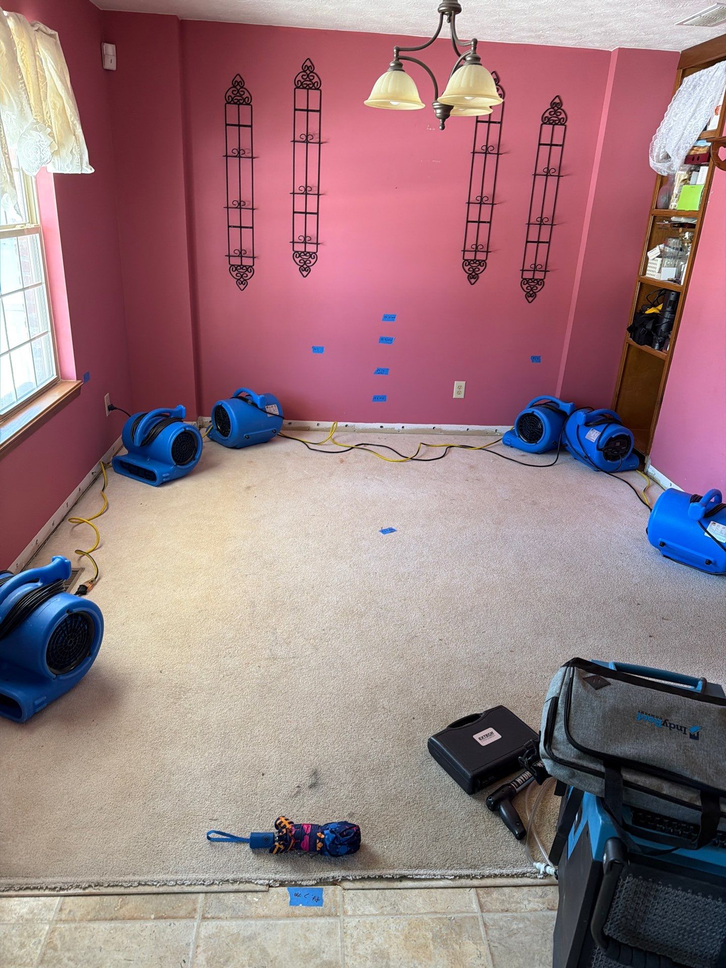 Water Damage Behind Brownstown Walls: Hidden Leak Stories