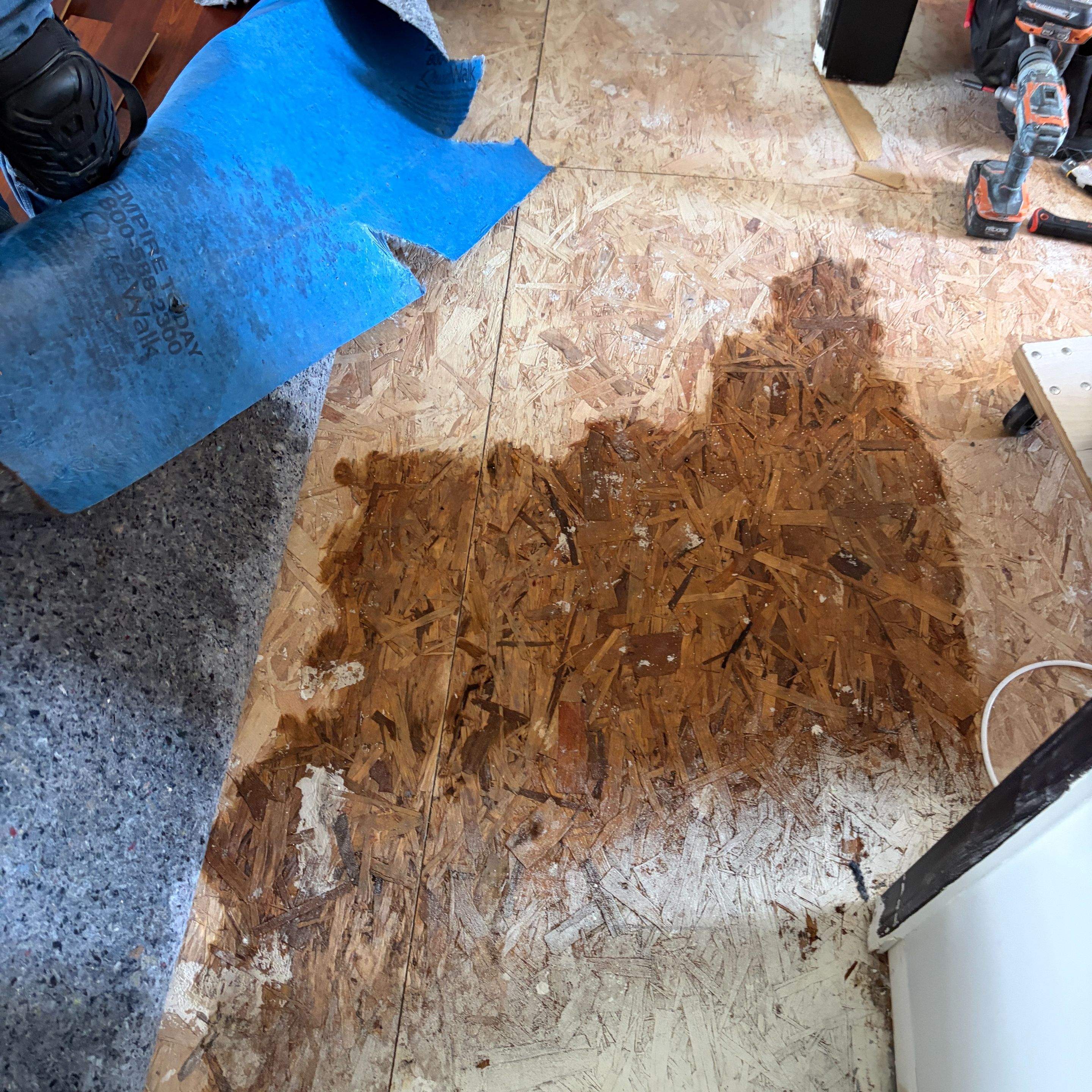DIY Home Drying After Water Damage in Brownstown